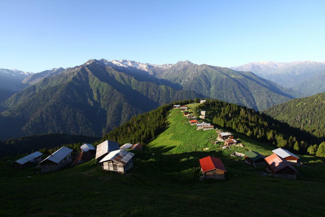 Pokut Doğa Konuk Evi Rize